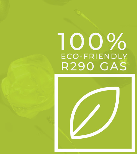 100% Ecological R290 Gas