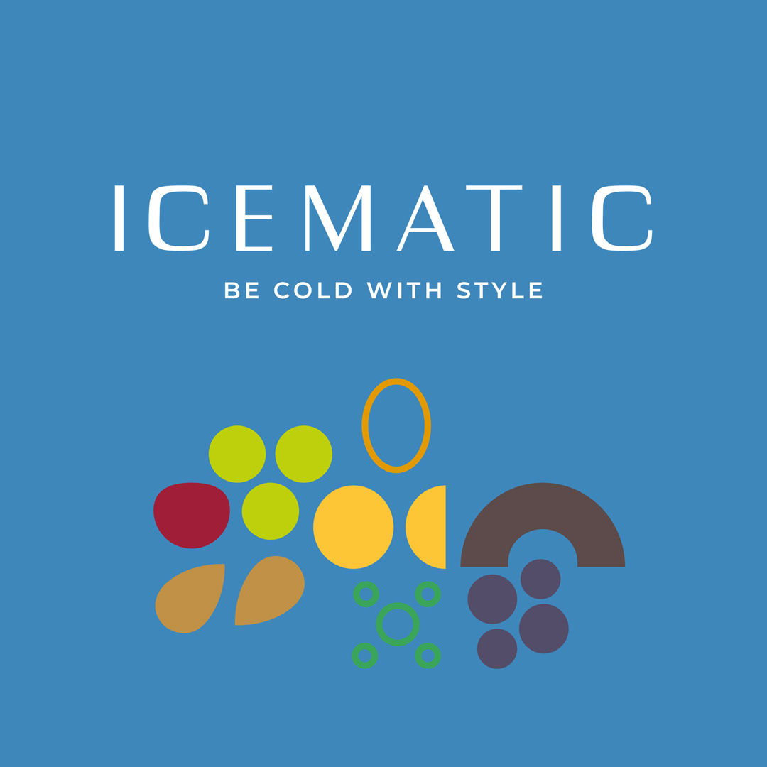 Icematic Ice Machines