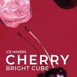 Icematic CHERRY Series Self Contained Ice Machines